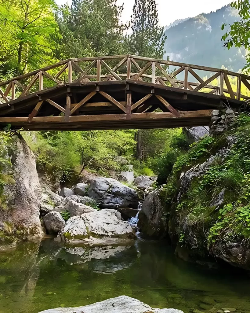 Hiking Mount Olympus trails through lush landscapes starting from Volos Premium Experience Transfer & Tours